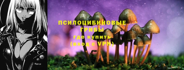 мескалин Алексин