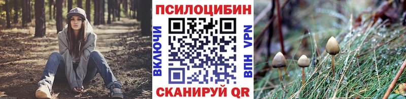 Псилоцибиновые грибы прущие грибы  где купить наркотик  Новосиль 